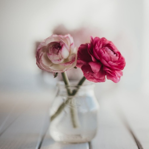 Meet your Posher, Hannah - Picture 1 of 1